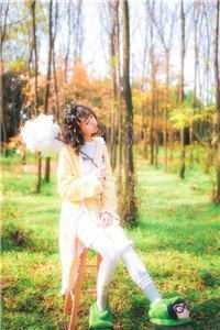 再见，格桑花海全文+后续