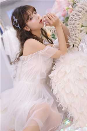 何以残影断归鸿章节