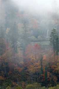 夏风掠过白夜全篇